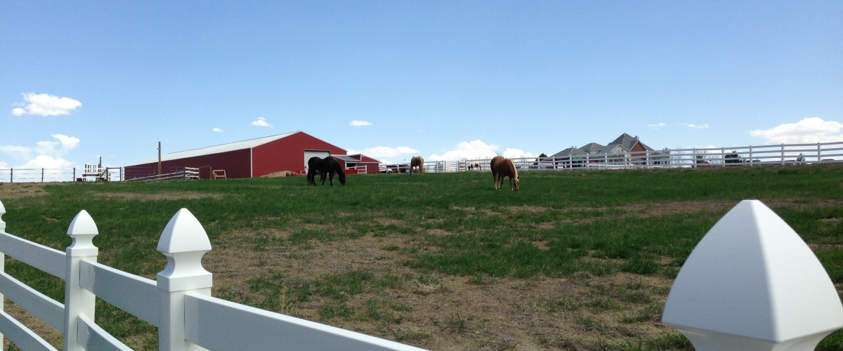 New This Spring Triple J Ranches